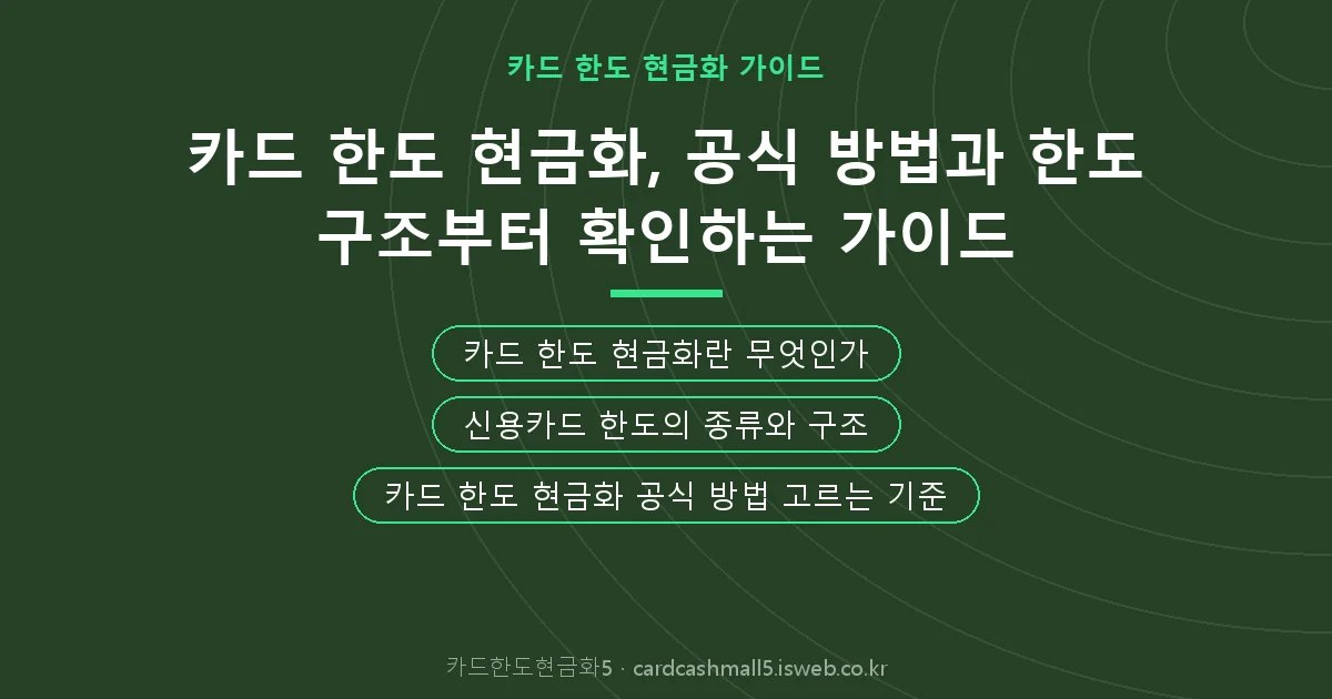 카드한도현금화5 핵심 내용을 정리한 요약 카드