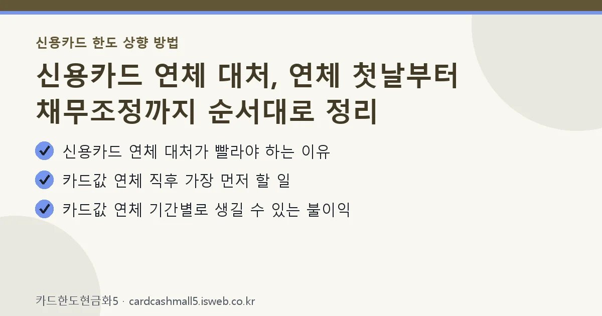 신용카드 연체 대처 핵심 내용 요약
