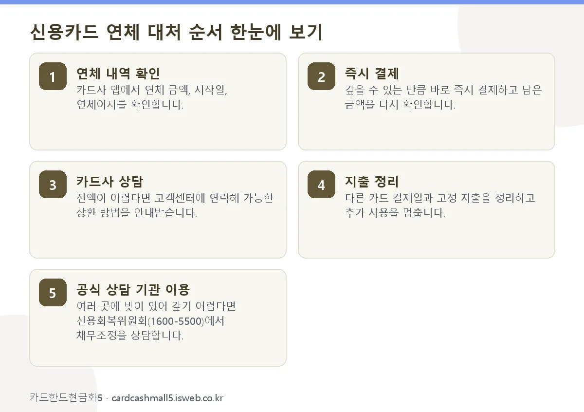 신용카드 연체 대처 신용카드 연체 대처 순서 한눈에 보기