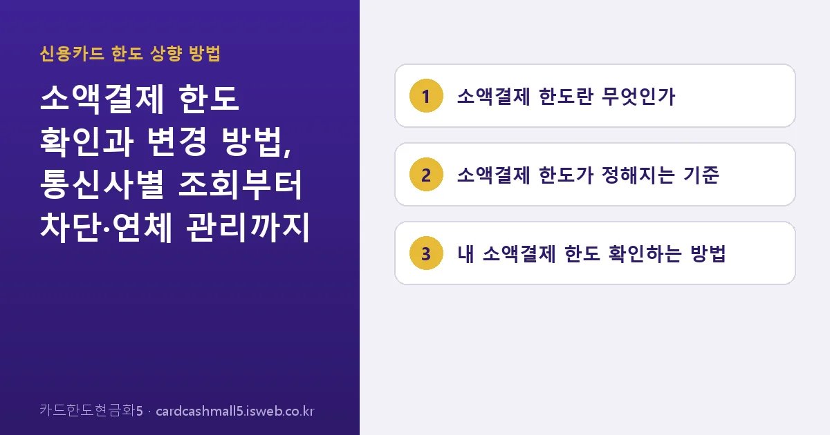 소액결제 한도 핵심 내용 요약